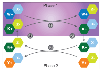 Phase-transfer-catalysis
